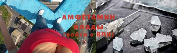 сатива Баксан