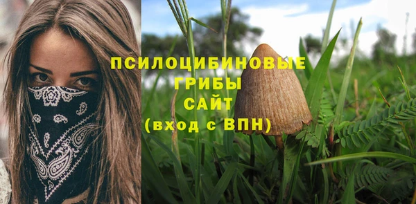 сатива Баксан