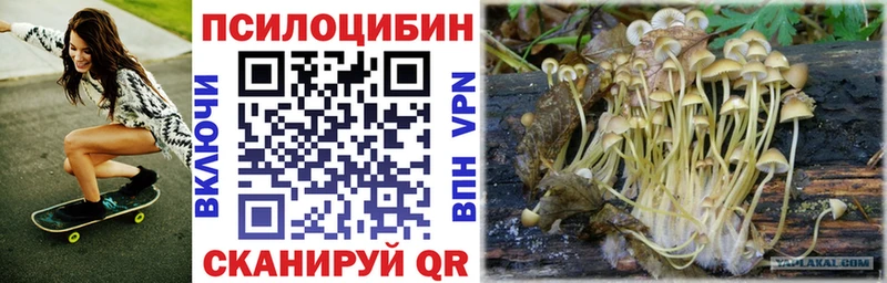 Псилоцибиновые грибы Cubensis  закладки  Красновишерск 